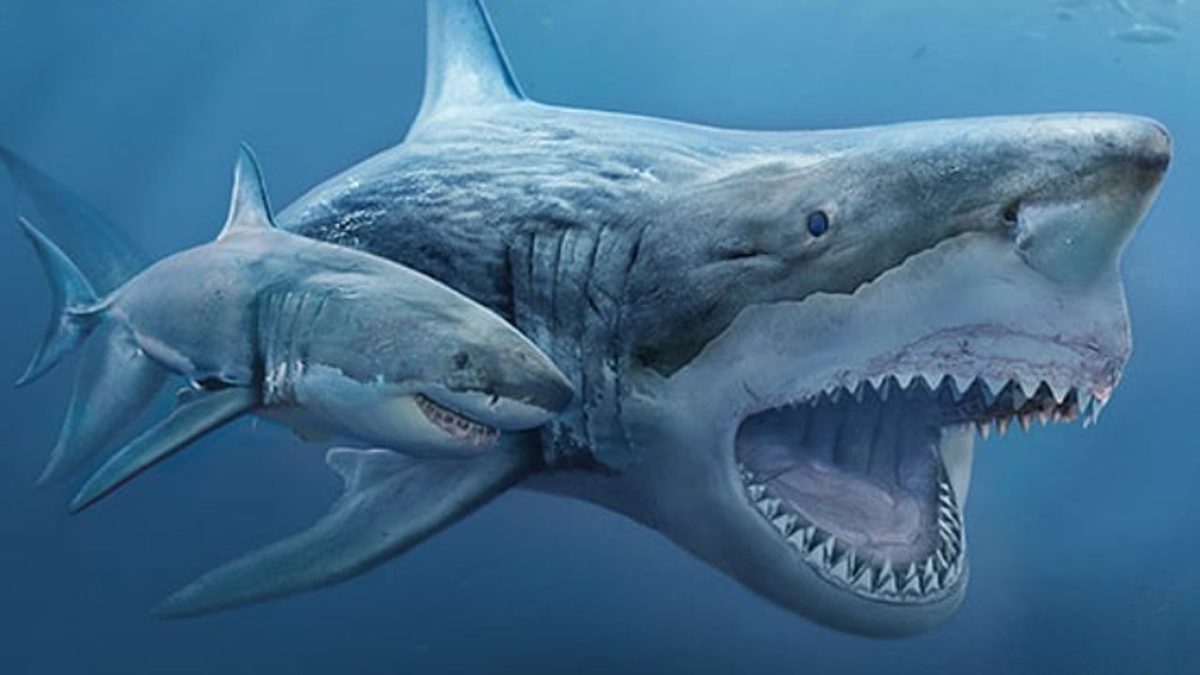 Ces images montrent l'incroyable différence de taille entre les animaux préhistoriques et leurs descendants modernes.