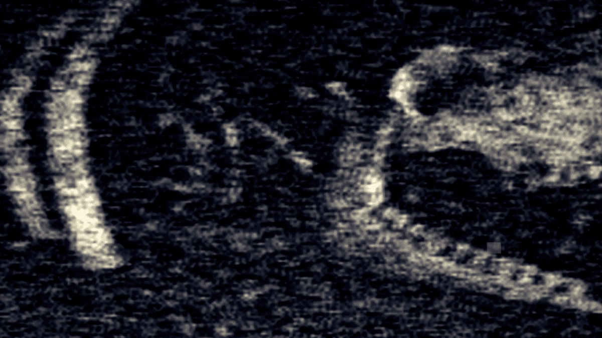 L'un des jeux vidéo les plus terrifiants de l'année dernière aura un film mettant en vedette un youtuber