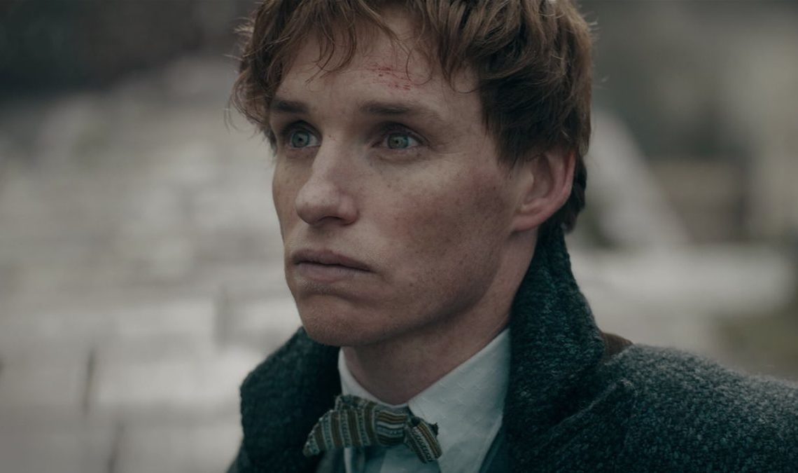 Le réalisateur d'Harry Potter parle de l'état de la saga des Animaux Fantastiques