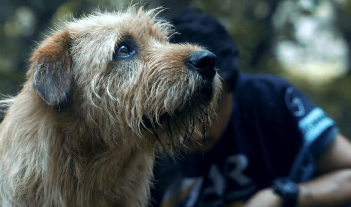 Mark Wahlberg noue une amitié indestructible avec un chien errant dans la bande-annonce d'Arthur le Roi