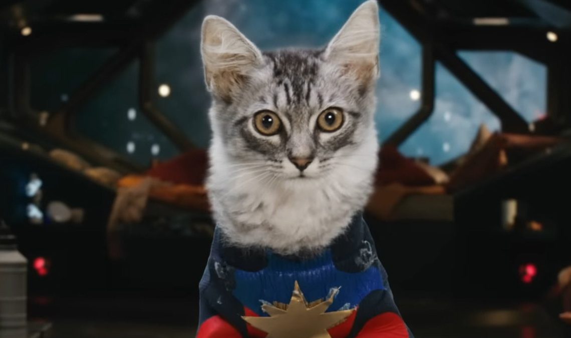 The Marvels clôture sa scène au box-office mondial avec les pires chiffres de tout l'UCM