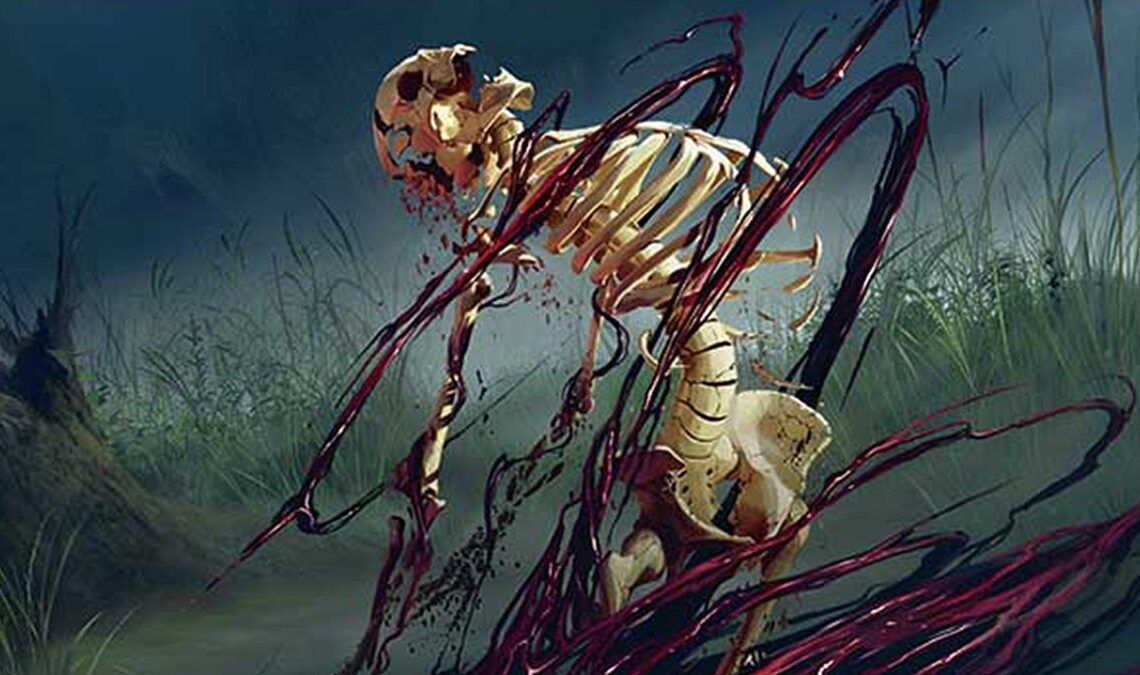 Exclusif - Magic: The Gathering reçoit 10 Dual Lands dans Modern Horizons 3