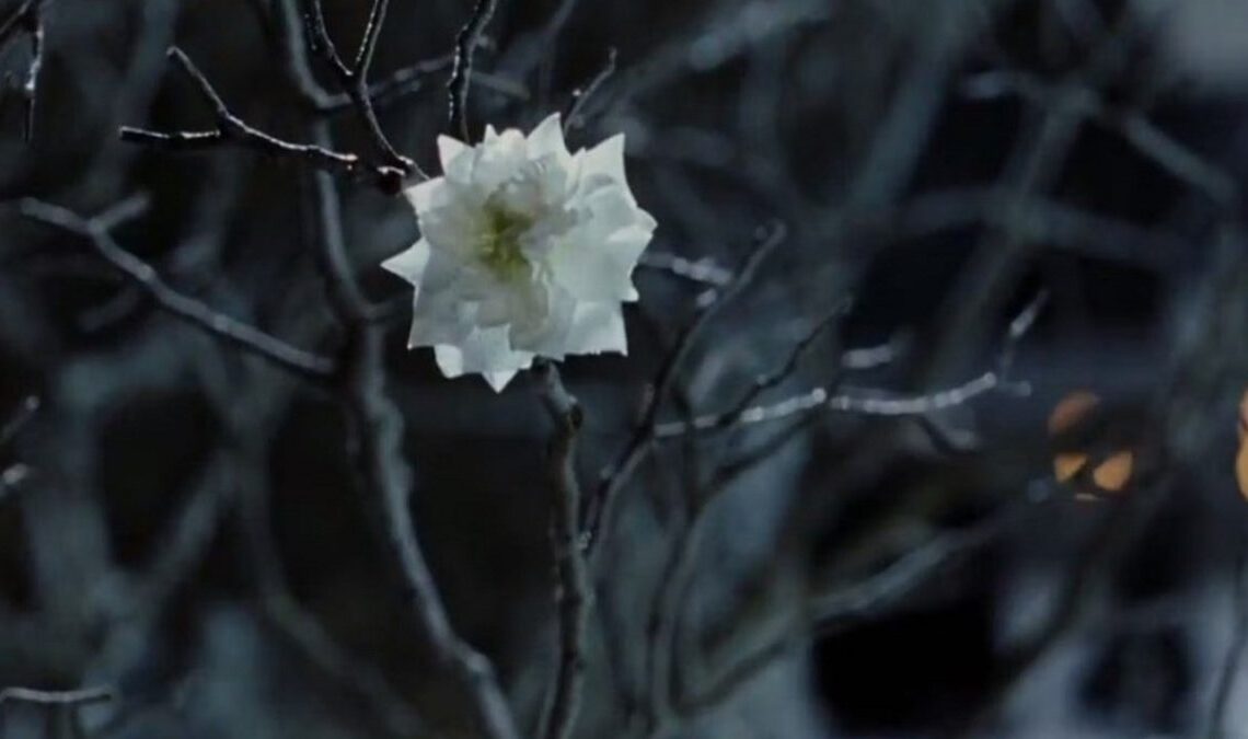 Pourquoi l'Arbre Blanc du Gondor s'est-il flétri ?  L'histoire de la Grande Peste de la Terre du Milieu