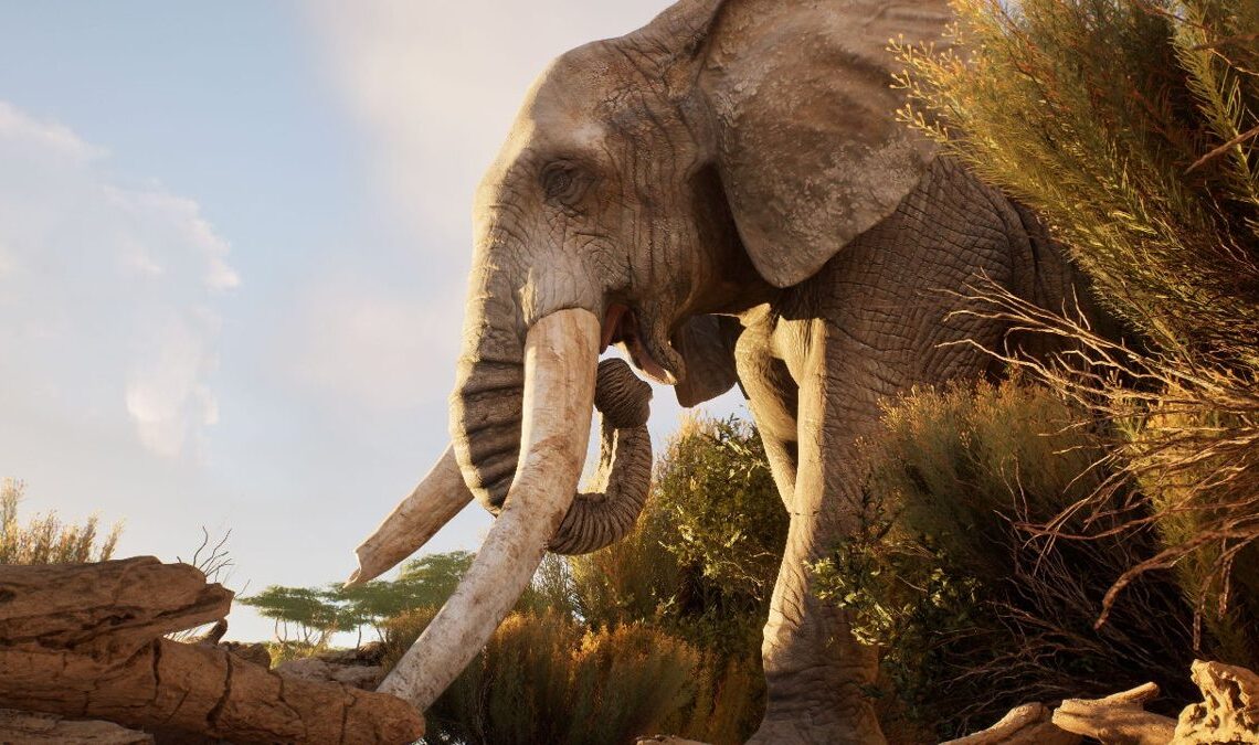 Ultimate Hunting est le simulateur de chasse le plus réaliste que nous ayons vu, et il a déjà une fenêtre de lancement