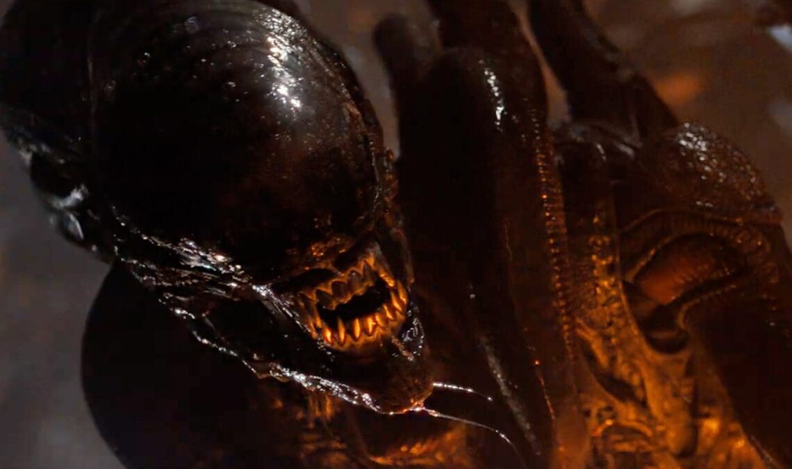 La suite d'Alien : Romulus poursuivrait l'histoire du premier film, avec Fede Álvarez à nouveau derrière les caméras