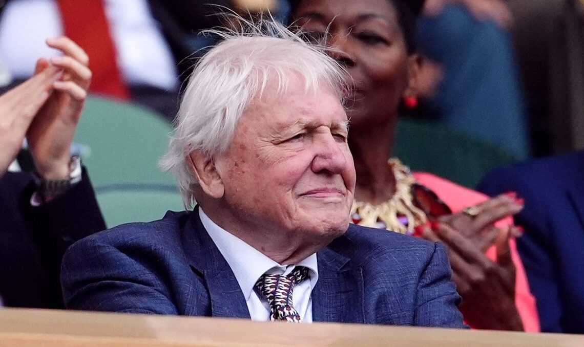 David Attenborough, vulgarisateur naturaliste renommé, est « profondément préoccupé » par l'intelligence artificielle