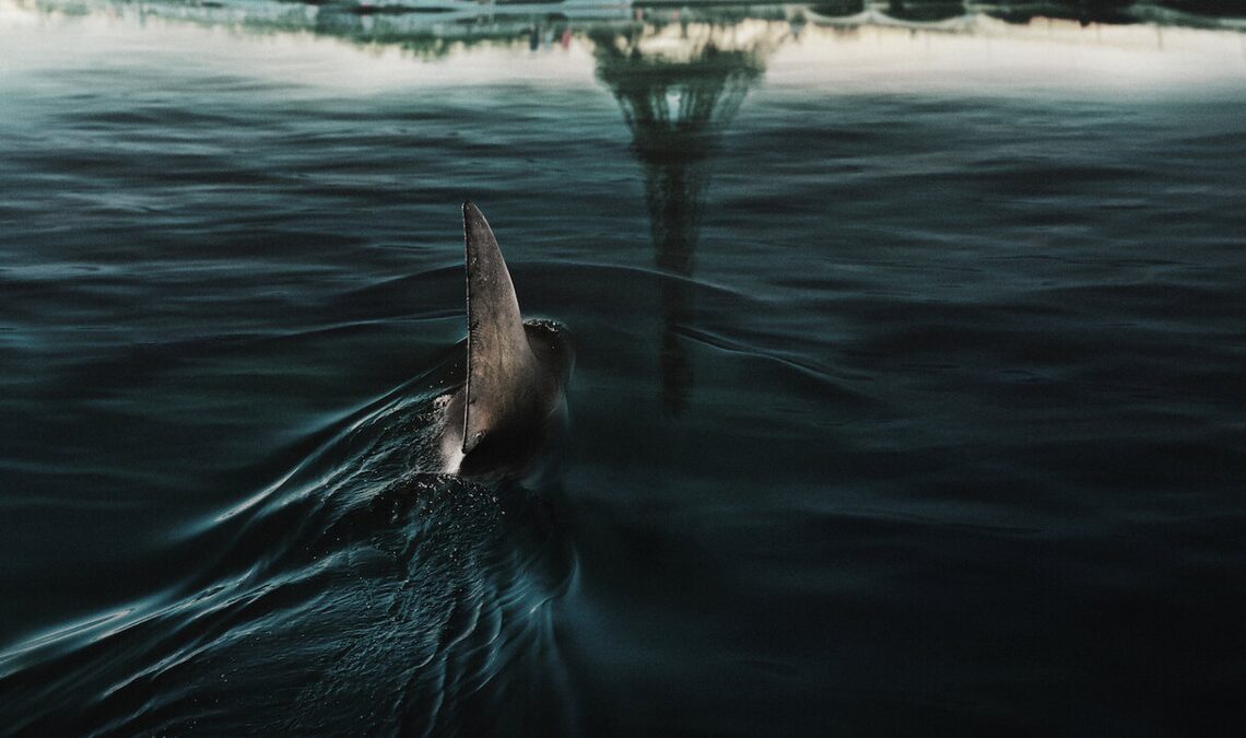 Les fans d'horreur ont été émerveillés par ce film Netflix, et maintenant nous savons qu'il aura une suite encore plus ambitieuse