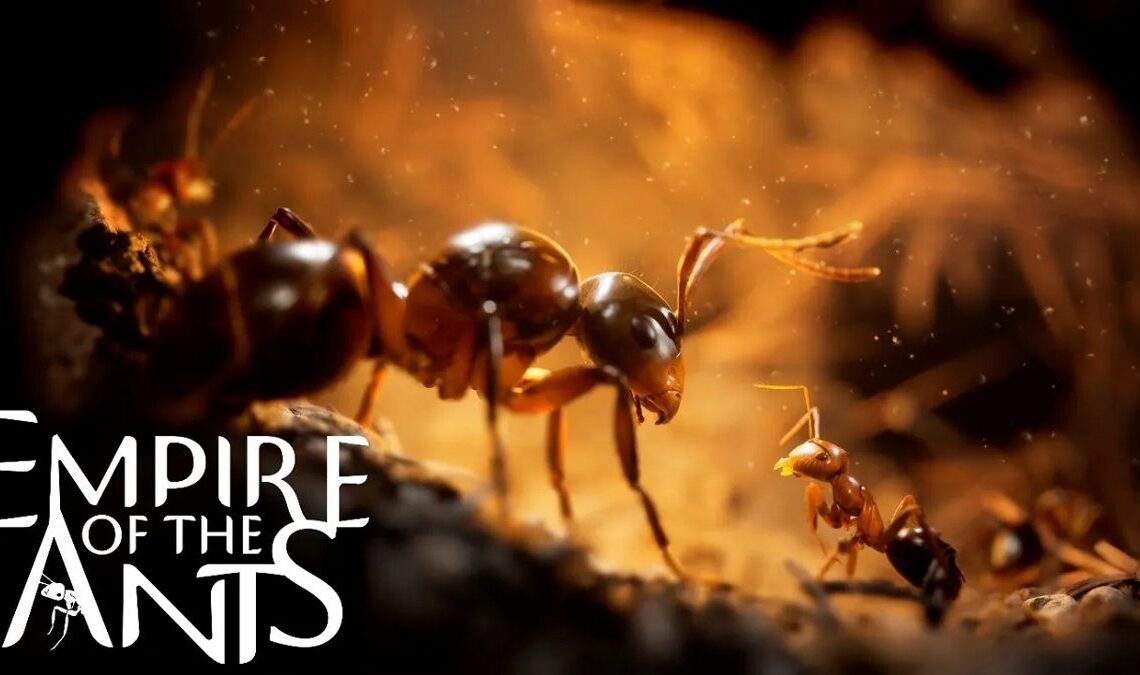 Analyse d'Empire des Fourmis - L'adaptation presque parfaite du roman et un bon RTS