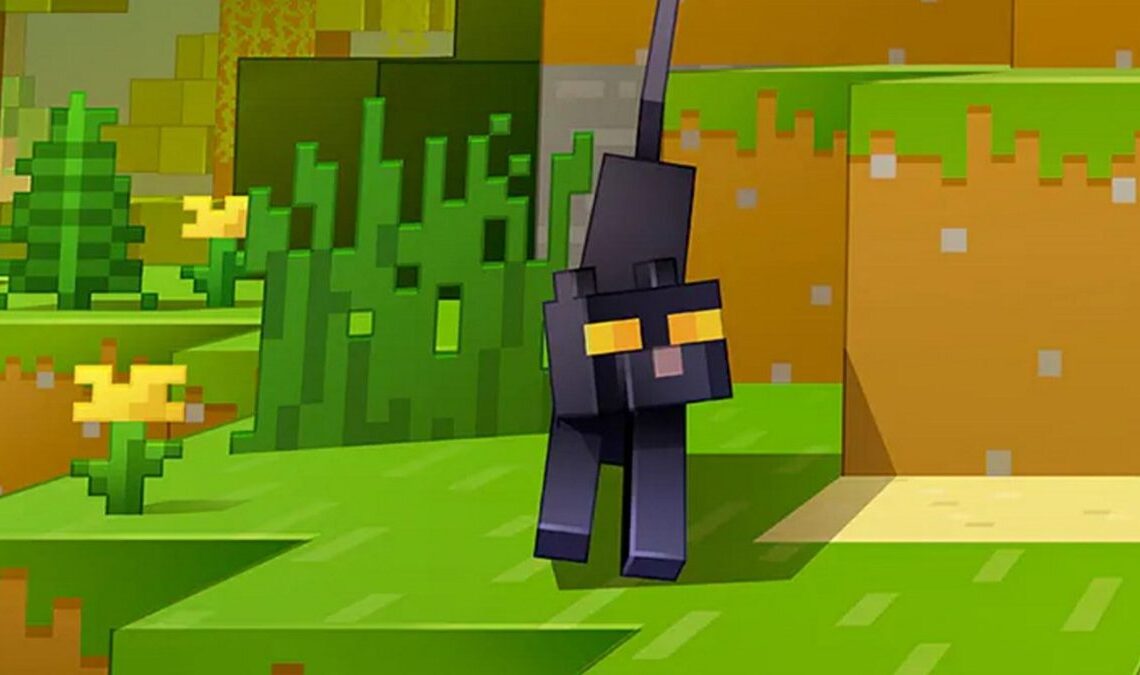 Lorsqu'elle subit une crise de panique, cette joueuse de Minecraft se lance dans une tâche impressionnante et pleine d'émotion