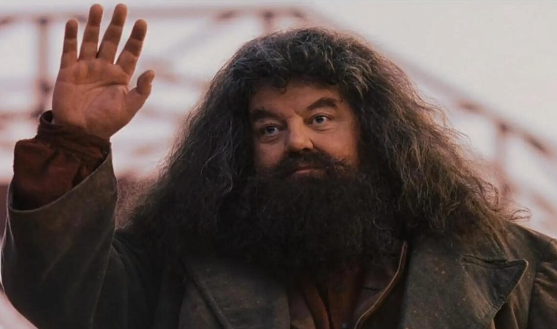 Pourquoi Hagrid n'est-il pas autorisé à faire de la magie ?