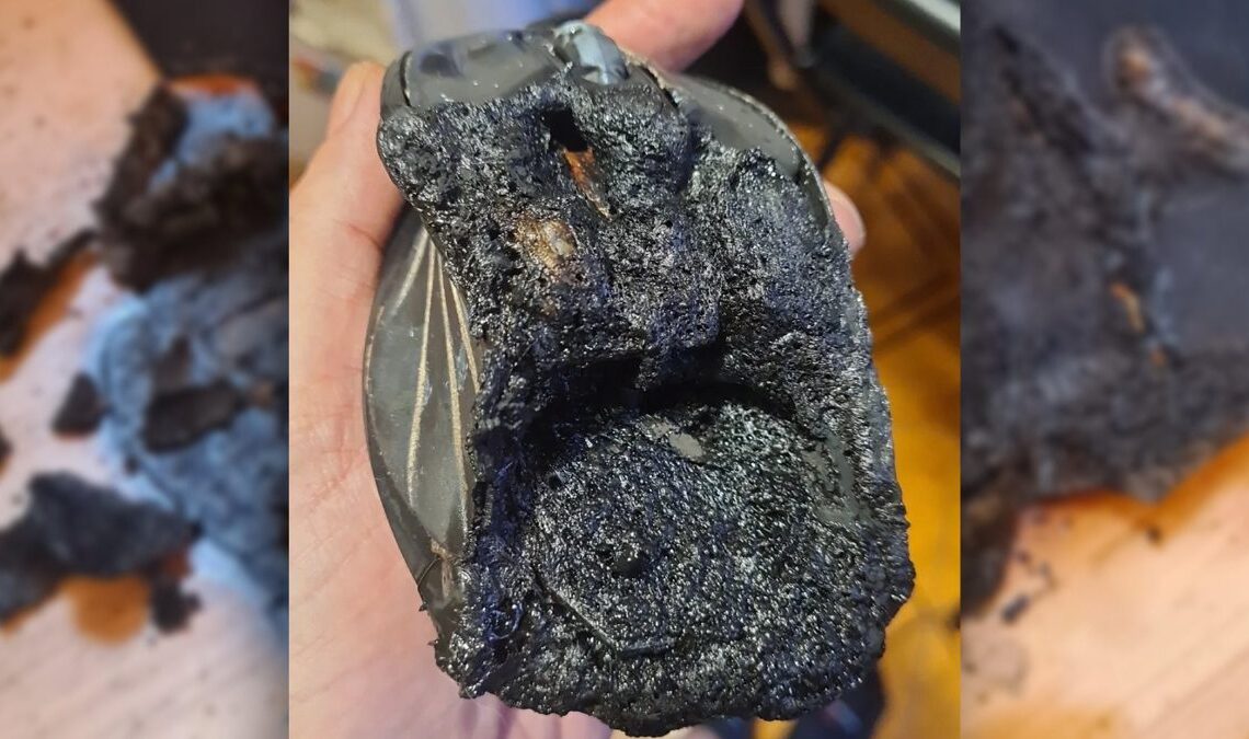 Une souris de jeu entre, il a inexplicablement mis le feu et calcule presque la maison d'un joueur