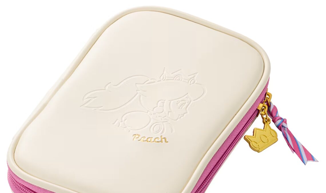 Obtenez ce cas complet de Super Mario. Vous ne le trouverez que dans mon magasin Nintendo