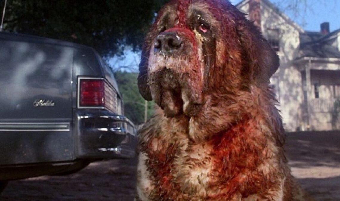 Netflix adaptera l'une des meilleures histoires de Stephen King