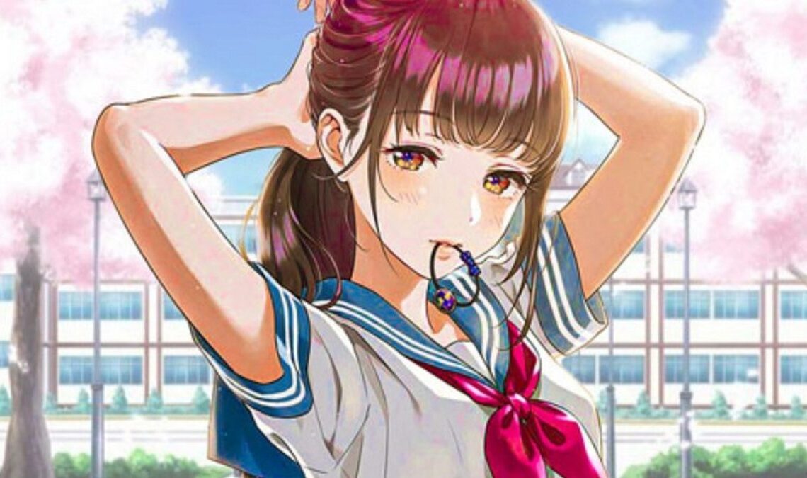 Nintendo entreprend une nouvelle croisade contre les jeux pornographiques de l'Eshop