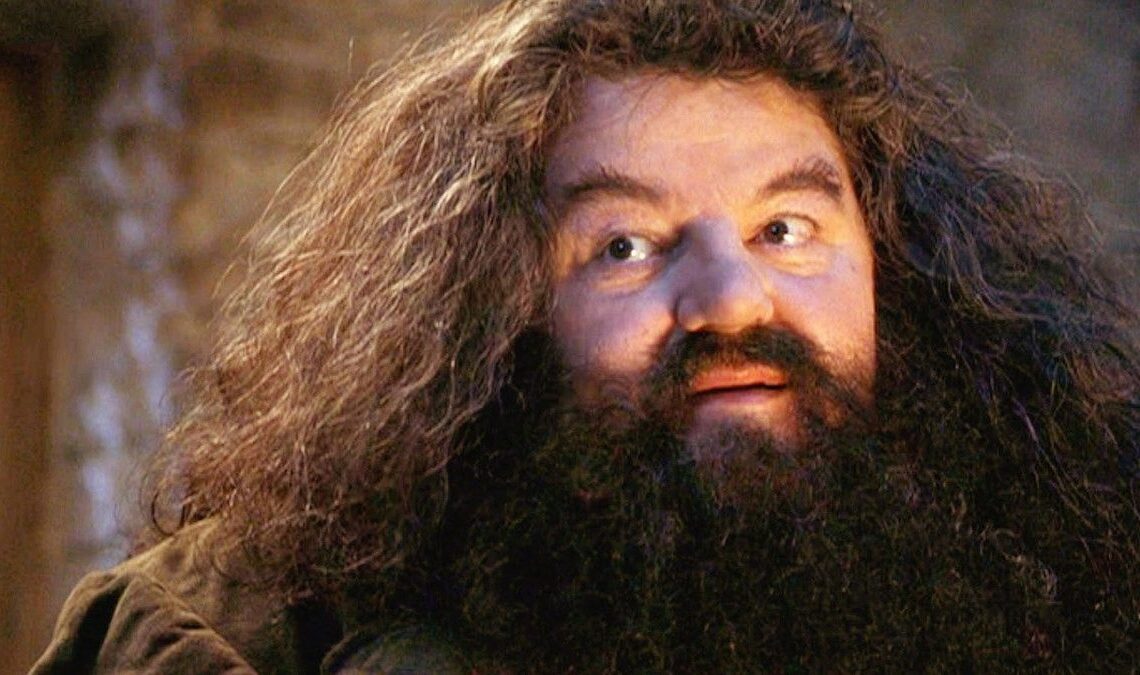 Tout indique que nous avons déjà le nouveau Hagrid pour la série Harry Potter de HBO
