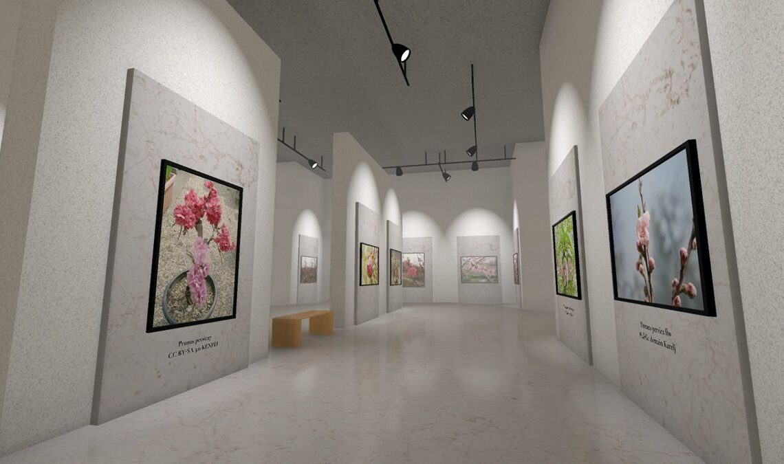 Wikipedia est devenue un musée 3D presque infini. Et tu peux manquer complètement