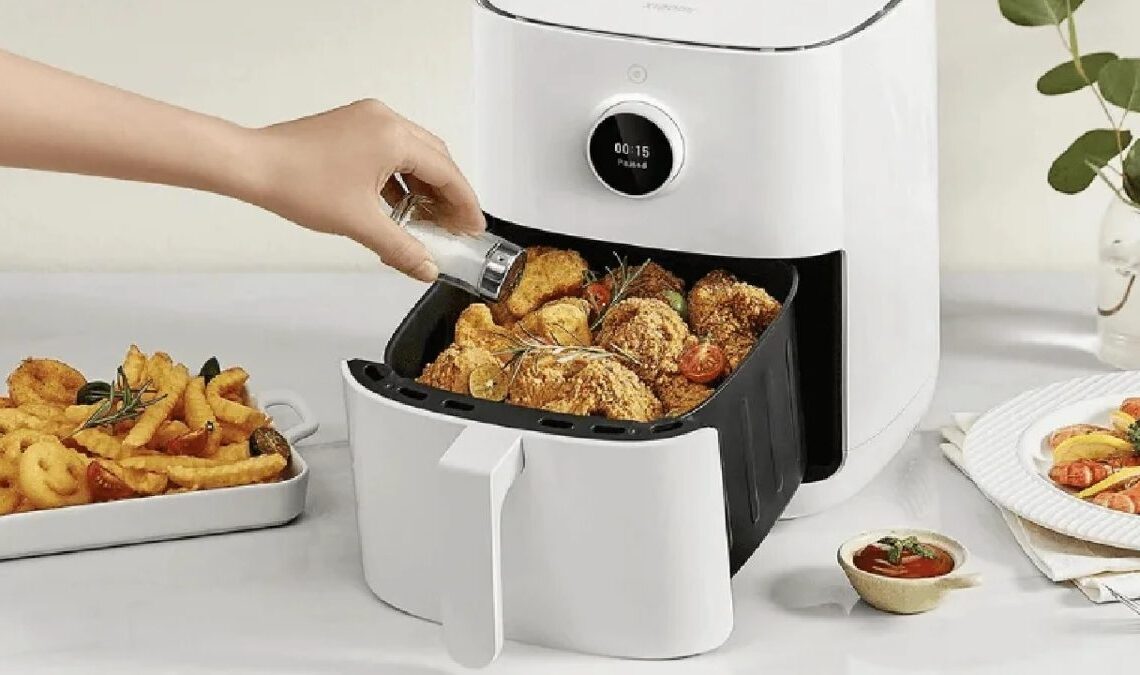 C'est le filtrage le moins cher pour la cuisson sans huile et il coûte même 100 euros