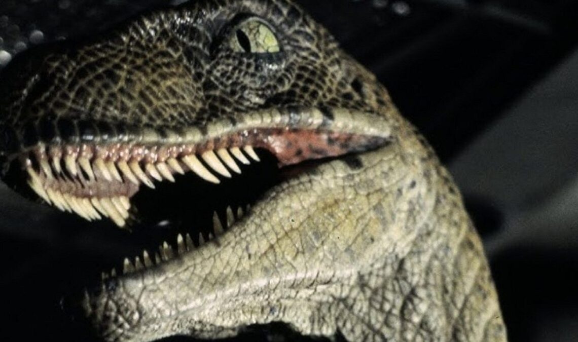 Jurassic Park a sauvé un personnage clé d'une mort horrible qui apparaît dans le livre: "Le roman est plus sombre, et l'oncle est bien tombé"