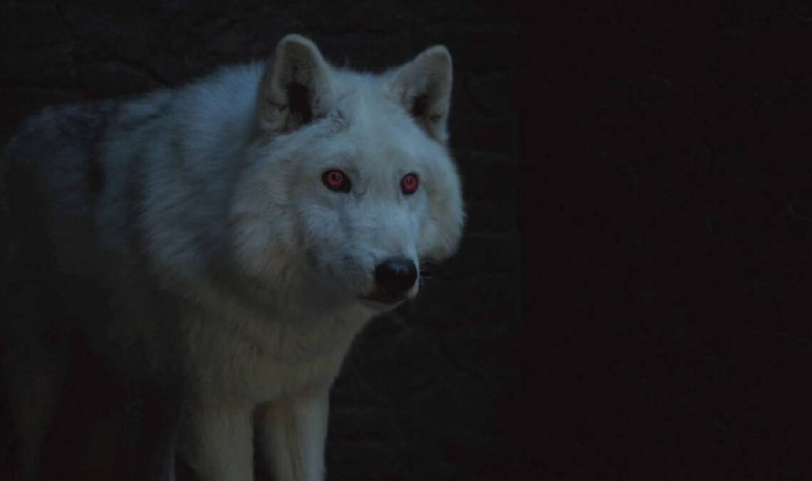 Les loups géants de Game of Thrones existent maintenant vraiment. Certains scientifiques ont réussi à ressusciter l'espèce