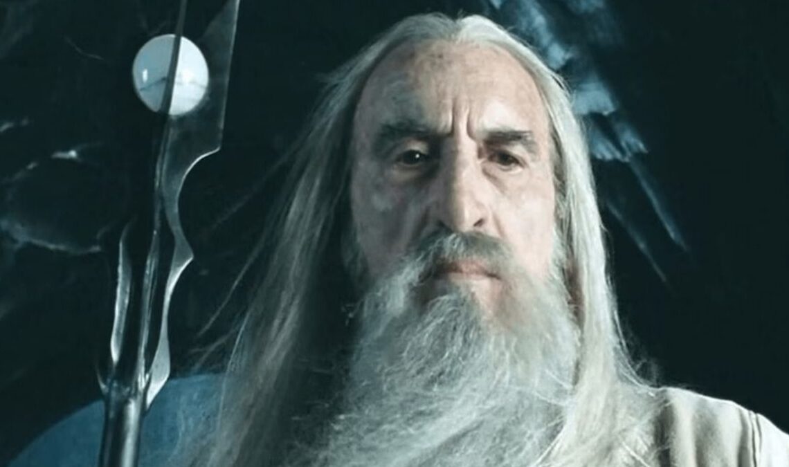 Une puce de l'ancien bloc. Saruman a encore fait l'erreur de son professeur, et non, je ne parle pas de Sauron