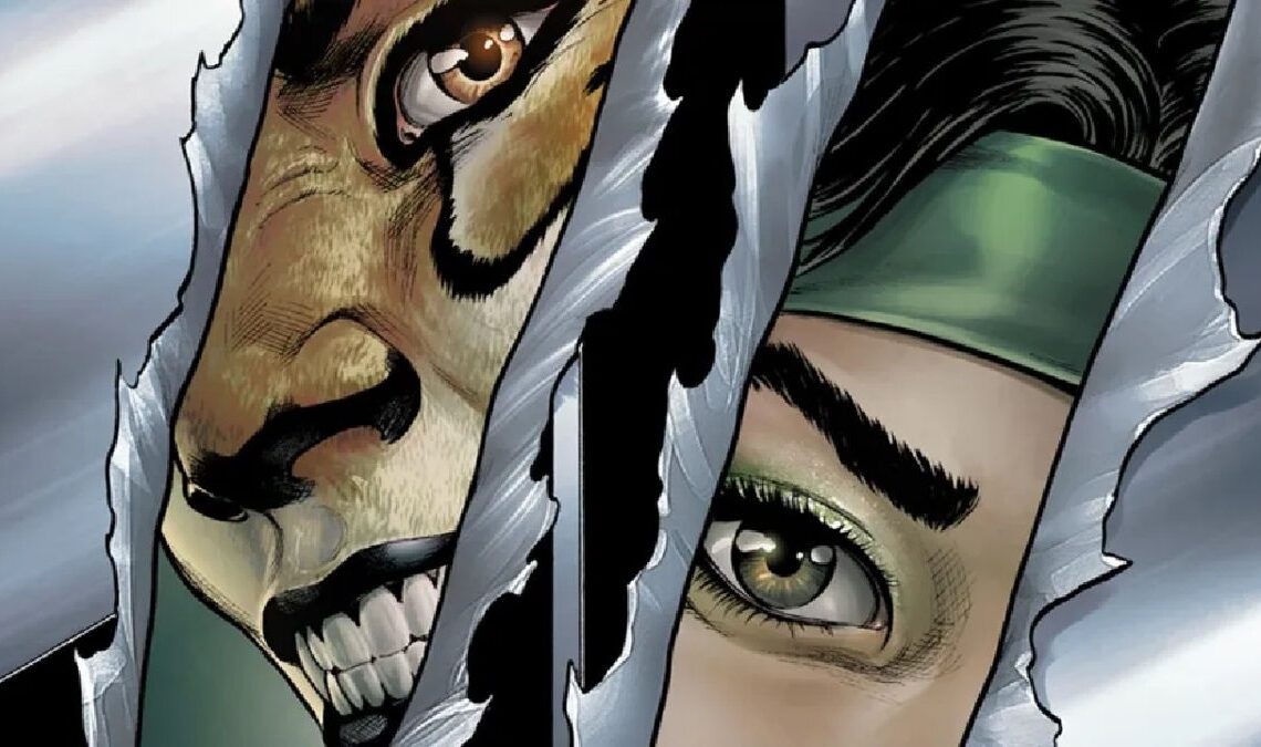 DC invoque le duo félin parfait pour voler la Justice League