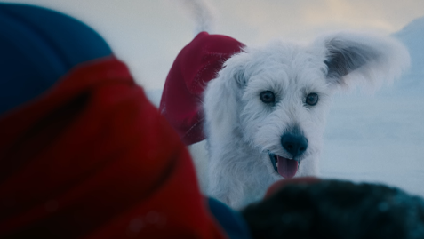 La nouvelle bande-annonce de Superman montre de nouvelles images de Guy Gardner, Halcon Girl et Krypto frappant l'ingénieur sur le visage