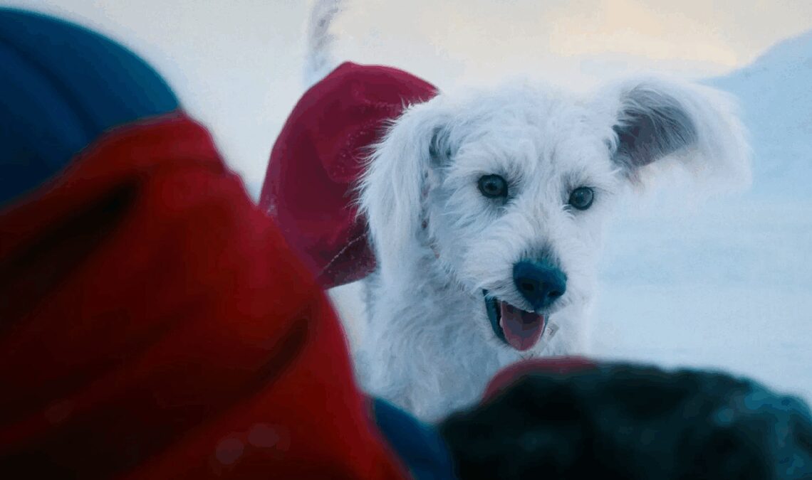 Le chien de James Gunn a découvert son archionemigo à Superman. Il est lui-même