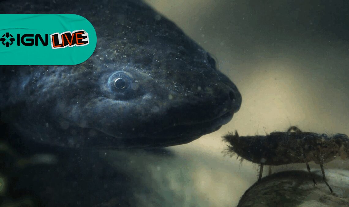 Des outsiders - Clip Exclusivo | IGN LIVE 2025