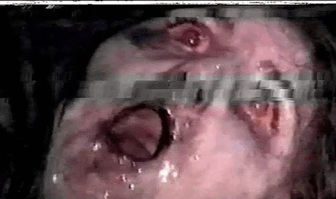 Rentur moi, le nouveau des créateurs de Tell Me, lance une page Web qui allait l'estomac