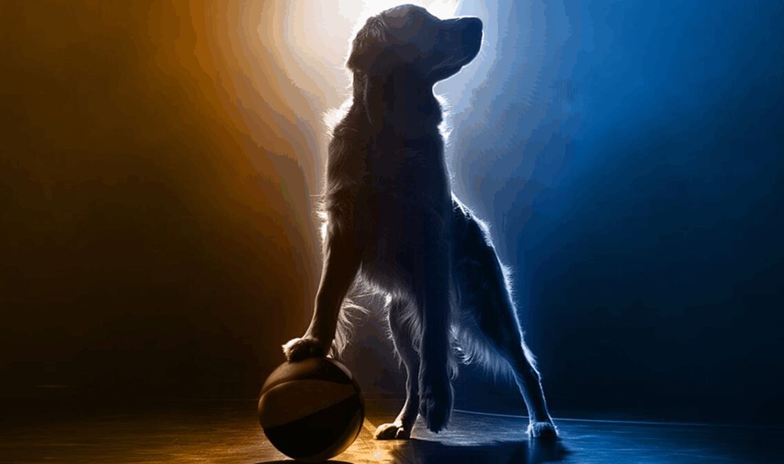 Air Bud Returns a déjà une fenêtre de première: la légende canine du basket-ball revient