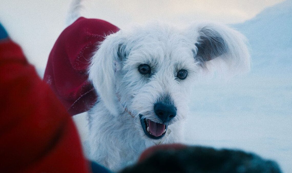 Superman a servi à stimuler une bonne cause, et James Gunn est ravi