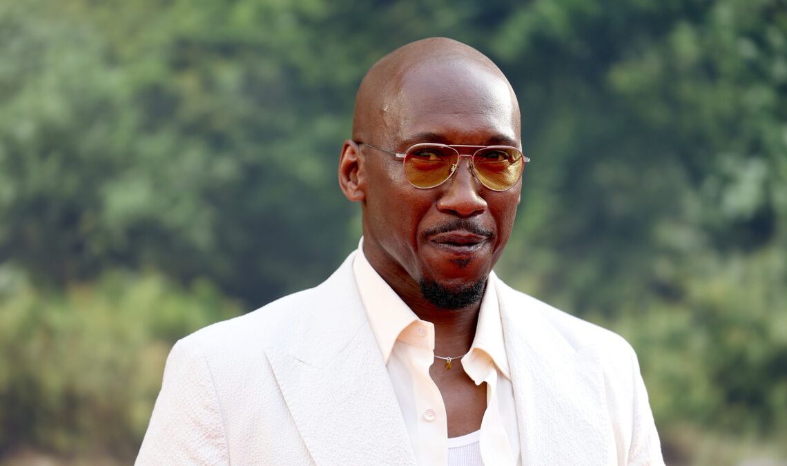 Vous devez recycler, et sinon ils disent que la lame. Il n'aura pas son redémarrage mérité, mais au moins ses costumes ont servi à un autre grand film