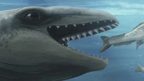 Les scientifiques découvrent une espèce préhistorique "étrangement adorable" qui ressemble à un Pokémon