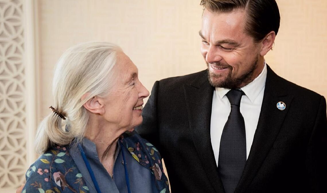 "Tu es mon héros", dit Leonardo DiCaprio à l'un de ses grands référents en dehors du monde du cinéma