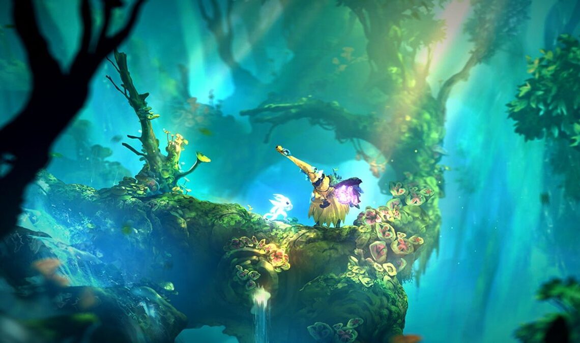 J'adore Hollow Knight, mais ce sont ces deux jeux qui m'ont rendu accro au genre, et maintenant ils sont presque vendus