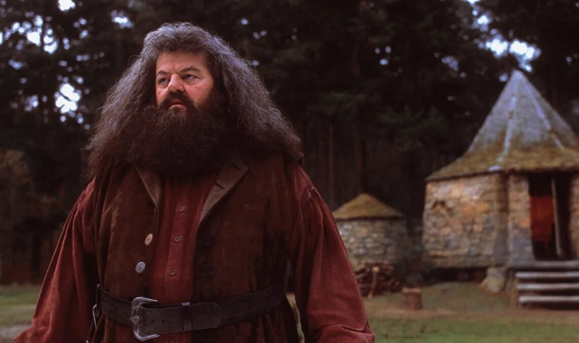 Il est clair que le pouvoir de manifestation fonctionne pour Nick Frost : c'était son rituel pour obtenir le rôle de Hagrid dans la série Harry Potter