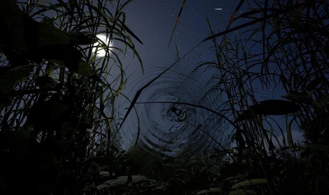 Les herbes hautes sont votre seule amie dans ce nouveau jeu d'horreur à la première personne