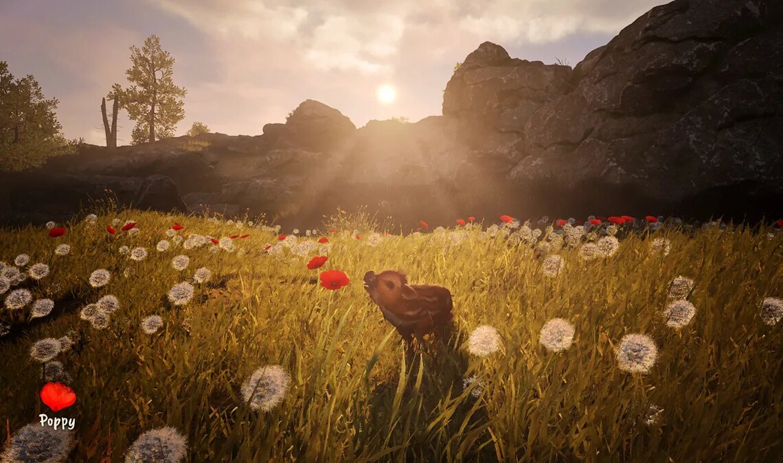 Préparez-vous à une overdose de gentillesse car ce jeu est de loin le plus adorable de tout le mois