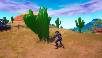 Gardez votre garde tout en cultivant des cactus