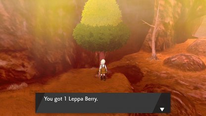 Route 6 de Leppa Baie