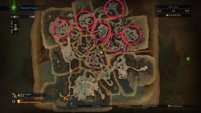 Lieu de réapparition de l'ancienne forêt Pukei-Pukei