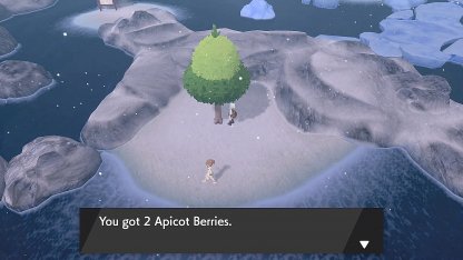 Route des baies d'abricot 9