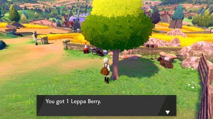 Route 4 de Leppa Baie