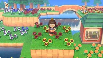 Graines de plantes en diagonale