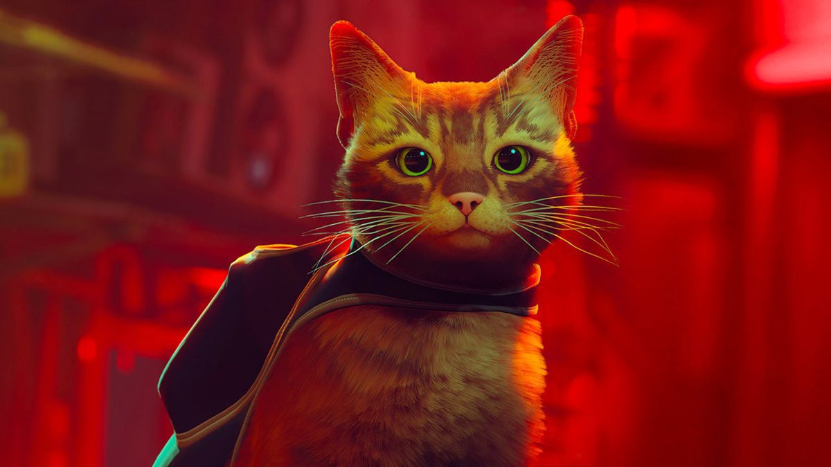 Le jeu vidéo Stray aide les chats sans abri de la vie réelle