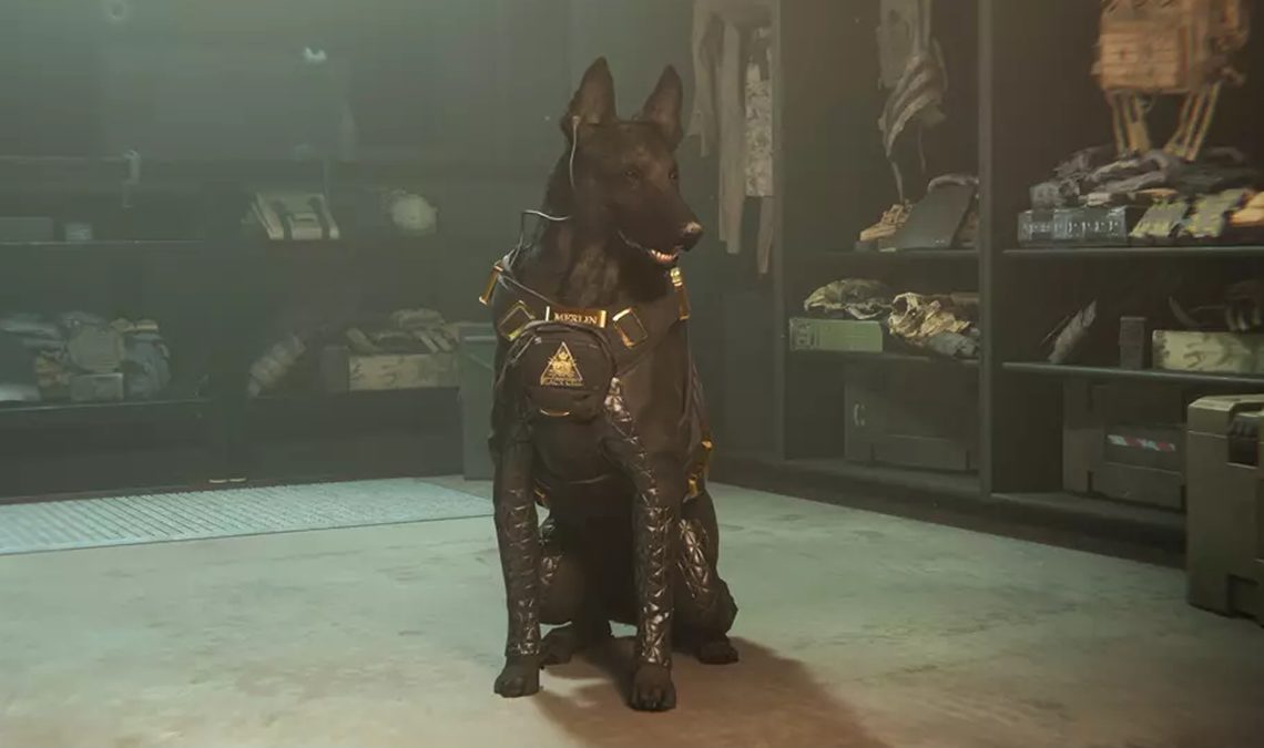 Les animaux de compagnie vont conquérir Call of Duty: Modern Warfare 2 et Warzone, et le premier d'entre eux est le chien Merlin