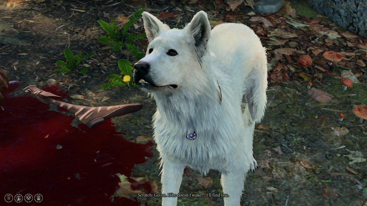 Heureusement, Scratch le chien est épargné d’un sort misérable.