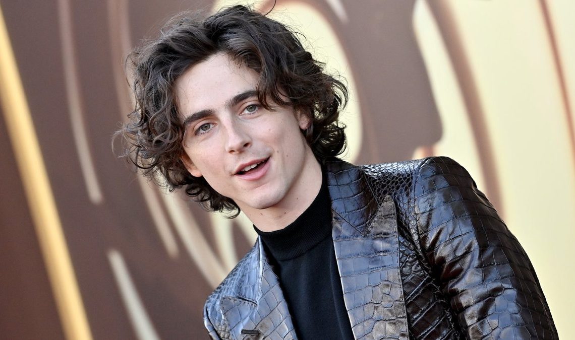 Timothée Chalamet dit que Spider-Man 2 est son jeu de l'année et qualifie la bande-annonce de GTA 6 de "passe"