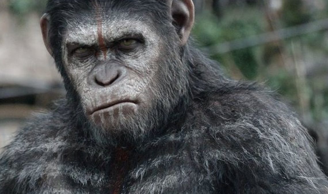 Le réalisateur du Royaume de la planète des singes ouvre la porte au retour d'Andy Serkis dans la franchise