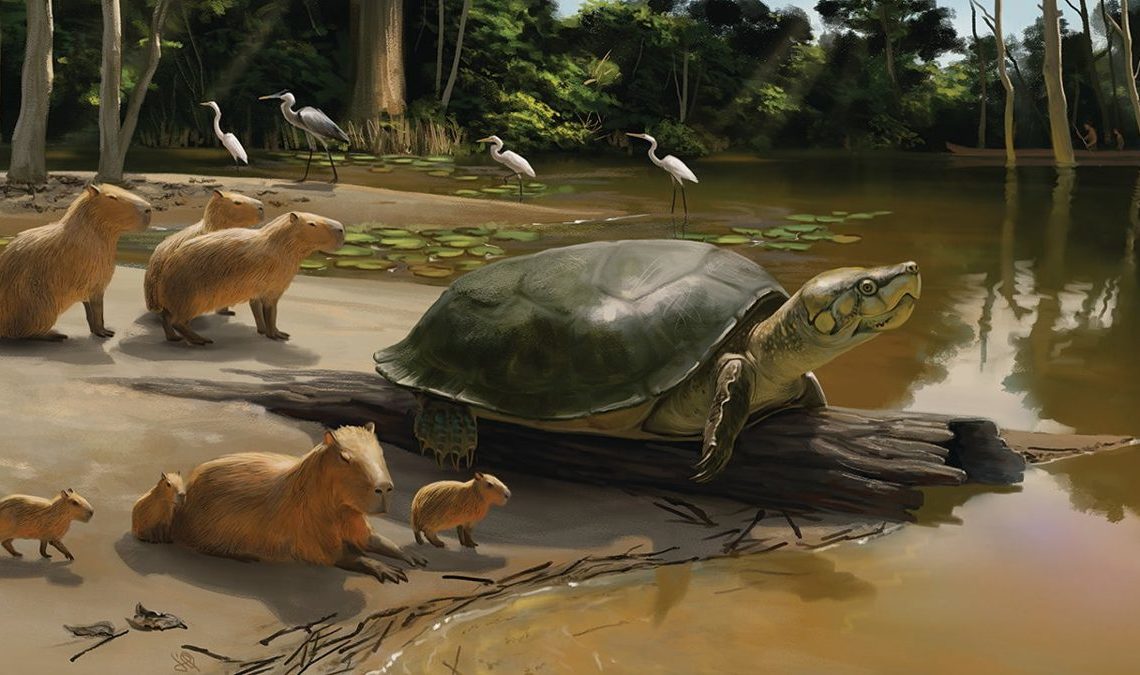 Une espèce de tortue préhistorique géante porte le nom d'un personnage de Stephen King